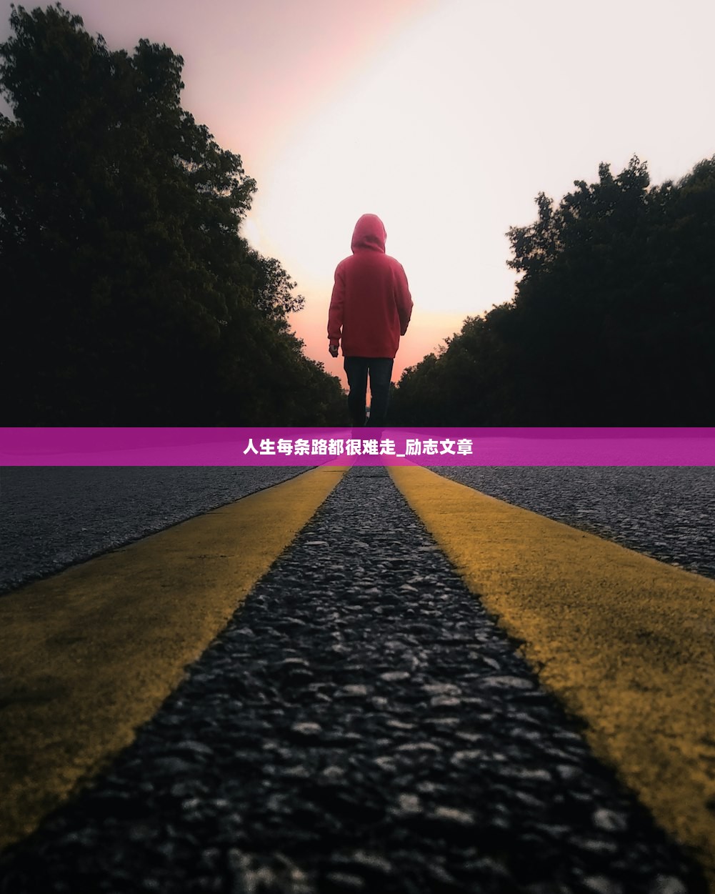 人生每条路都很难走_励志文章