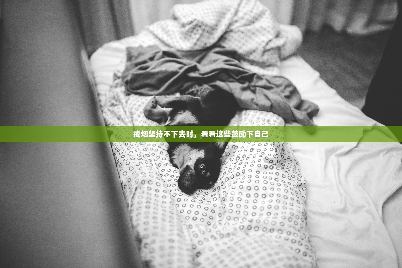 戒烟坚持不下去时，看看这些鼓励下自己
