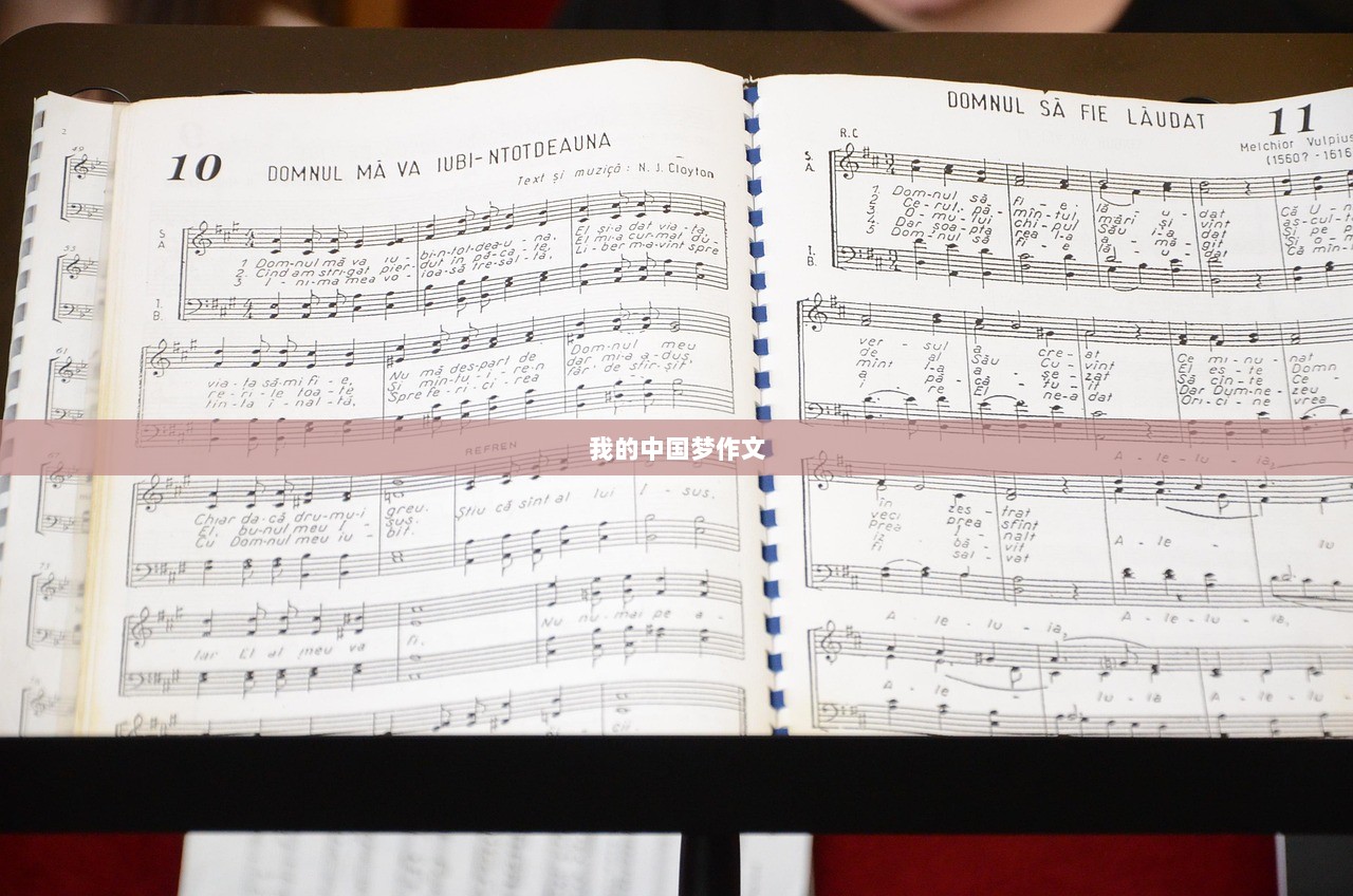 我的中国梦作文