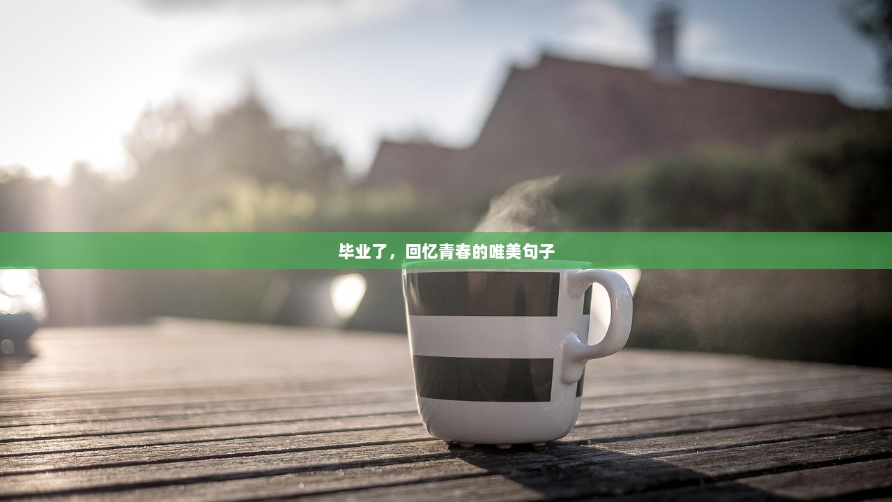 毕业了，回忆青春的唯美句子  第1张