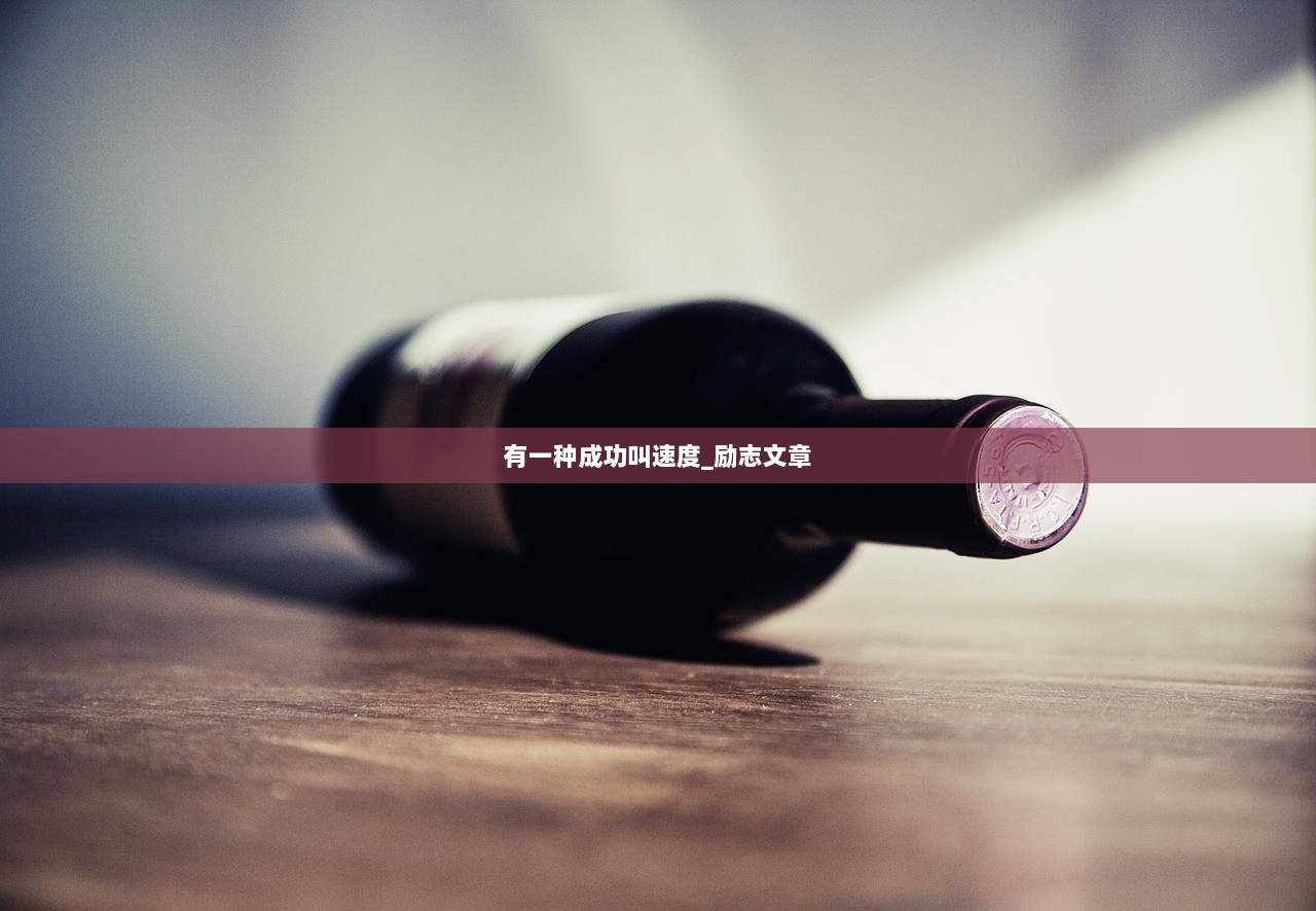有一种成功叫速度_励志文章