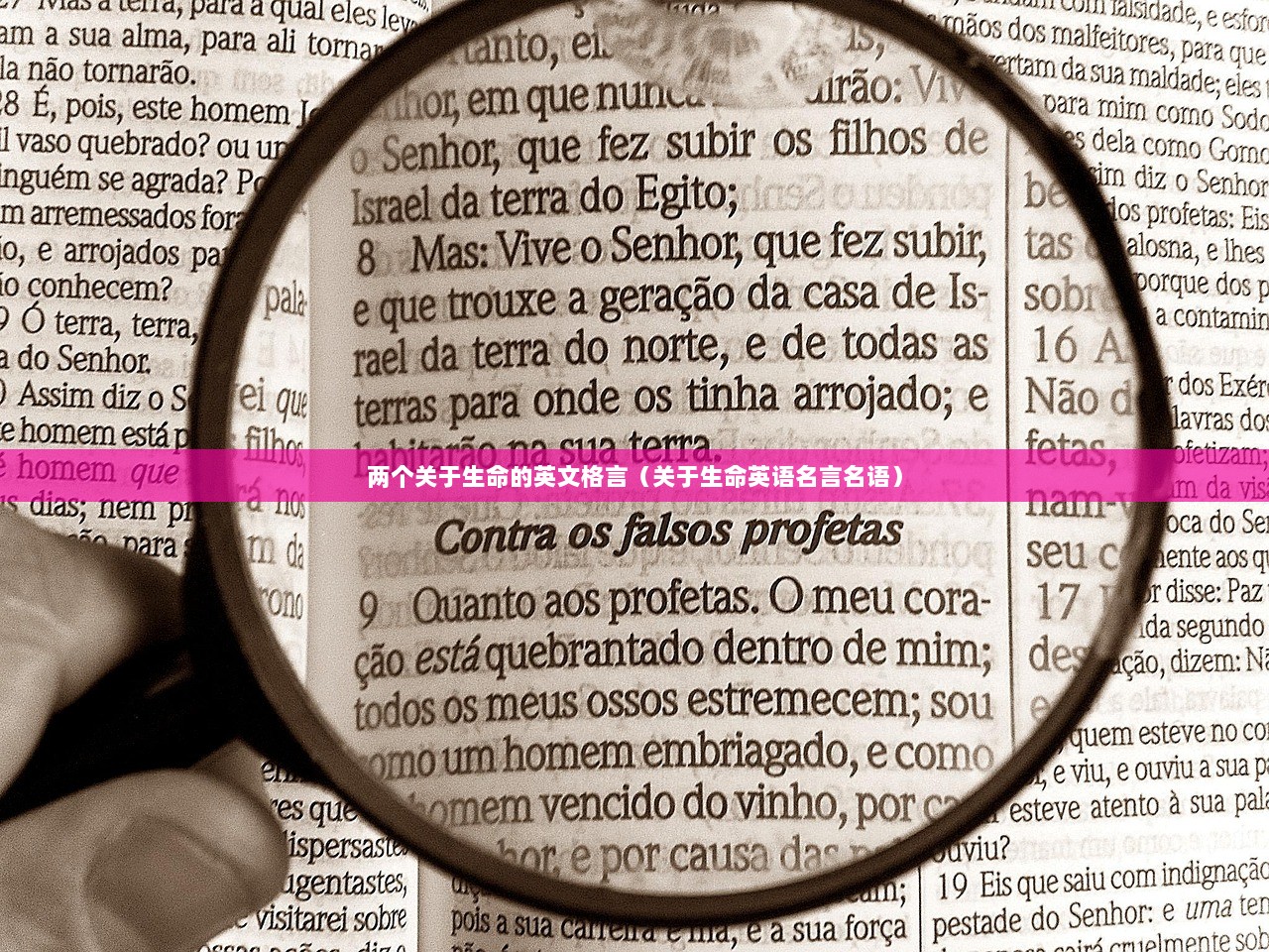 两个关于生命的英文格言（关于生命英语名言名语）