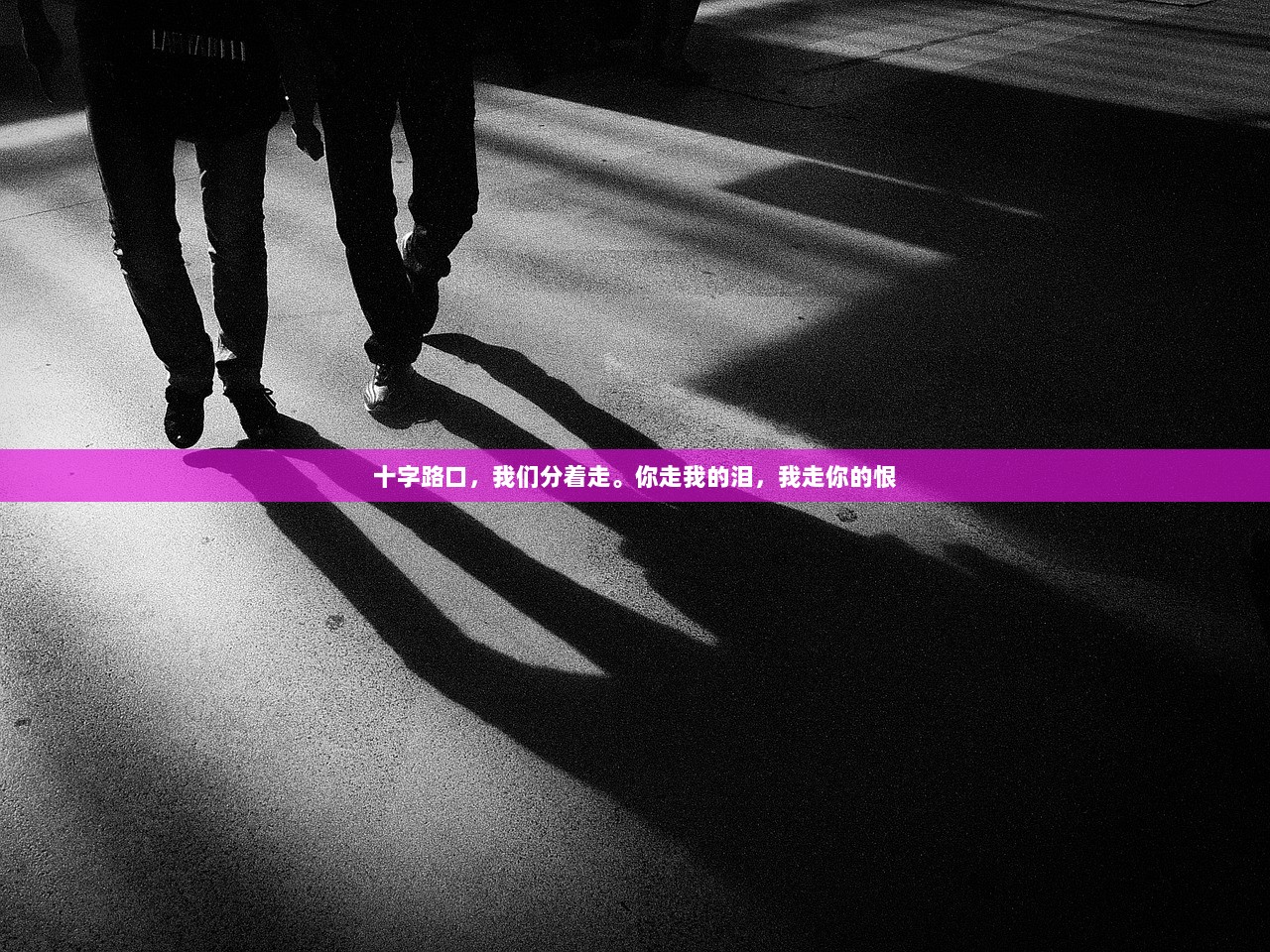 十字路口，我们分着走。你走我的泪，我走你的恨