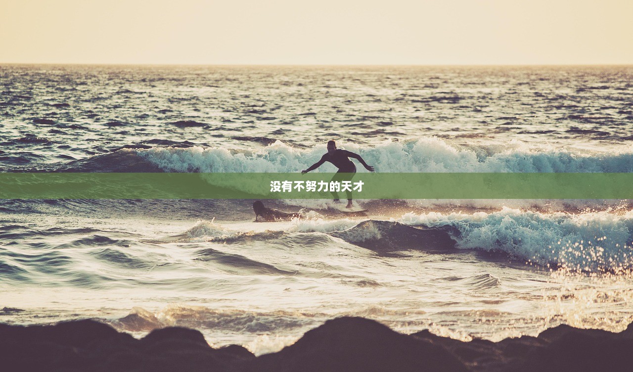 没有不努力的天才