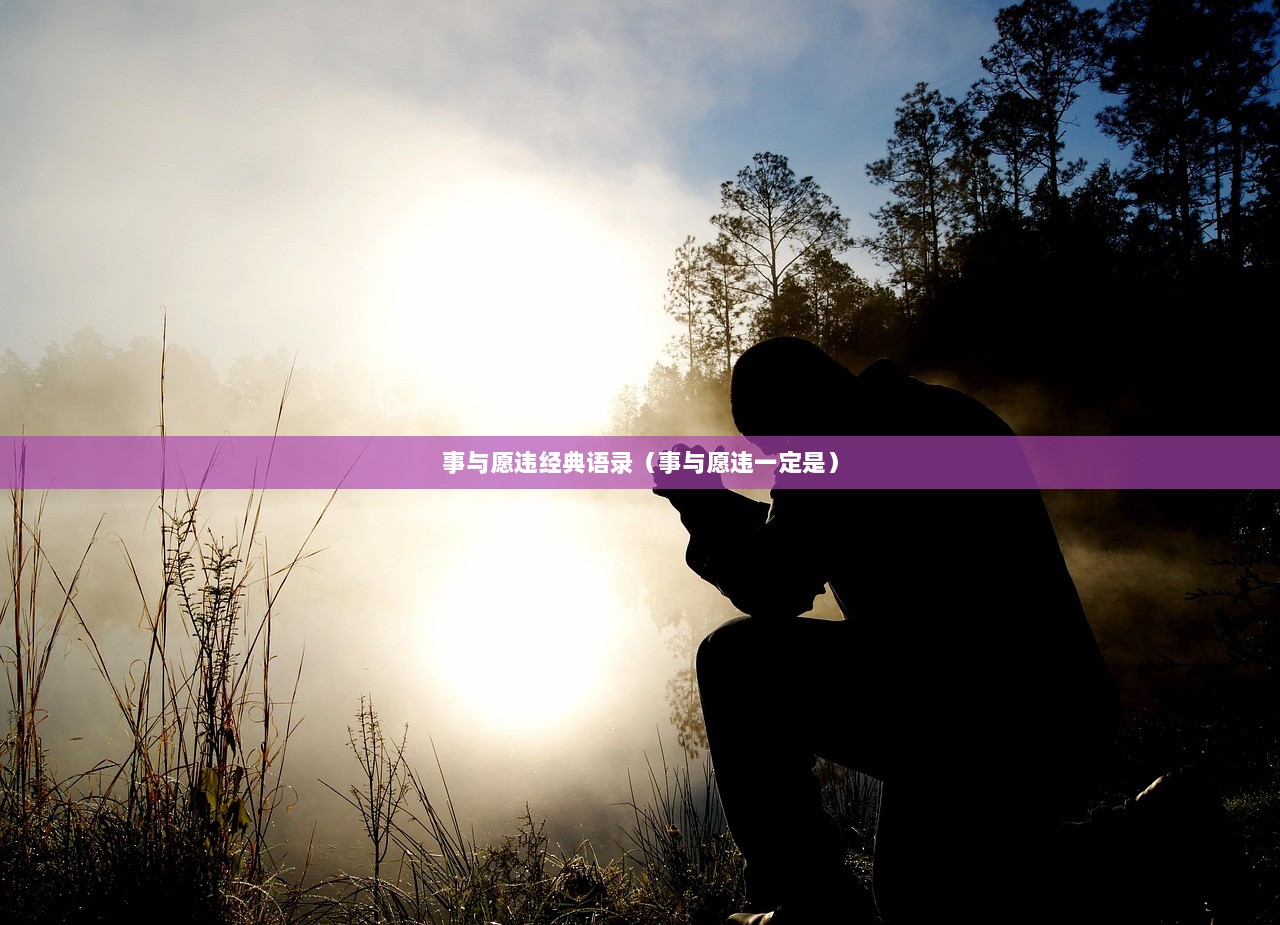 事与愿违经典语录（事与愿违一定是）