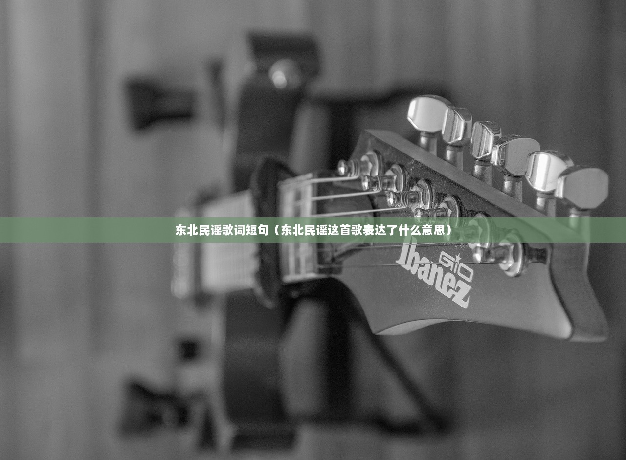 东北民谣歌词短句（东北民谣这首歌表达了什么意思）