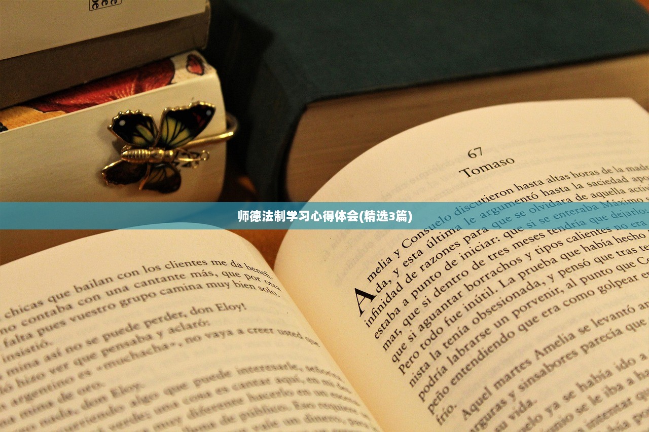 师德法制学习心得体会(精选3篇)