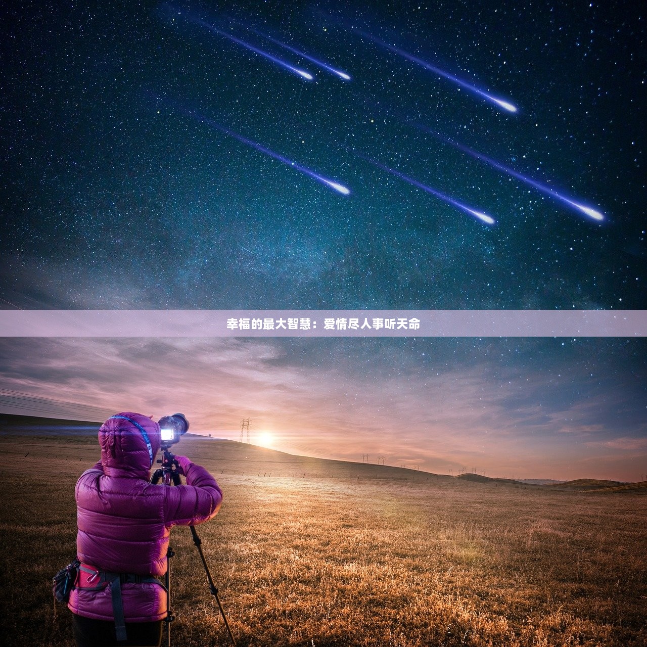 幸福的最大智慧：爱情尽人事听天命