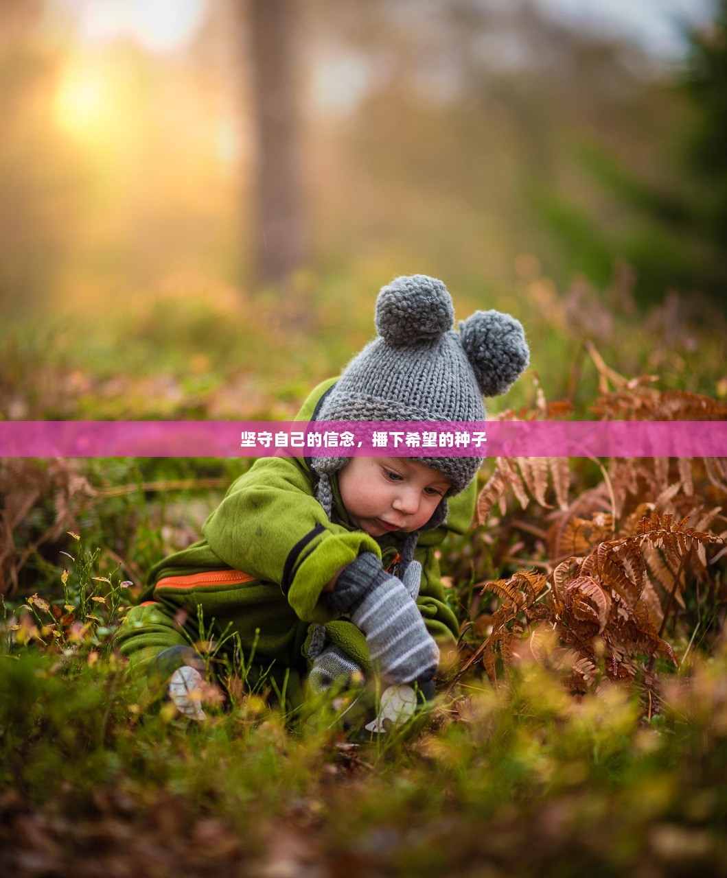 坚守自己的信念，播下希望的种子