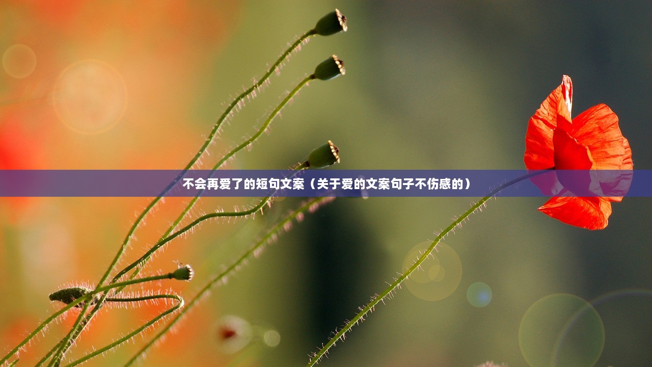 不会再爱了的短句文案（关于爱的文案句子不伤感的）