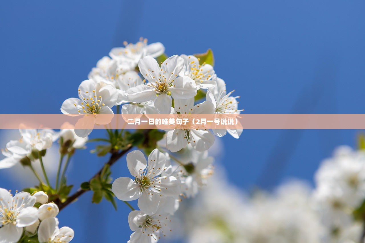 二月一日的唯美句子（2月一号说说）