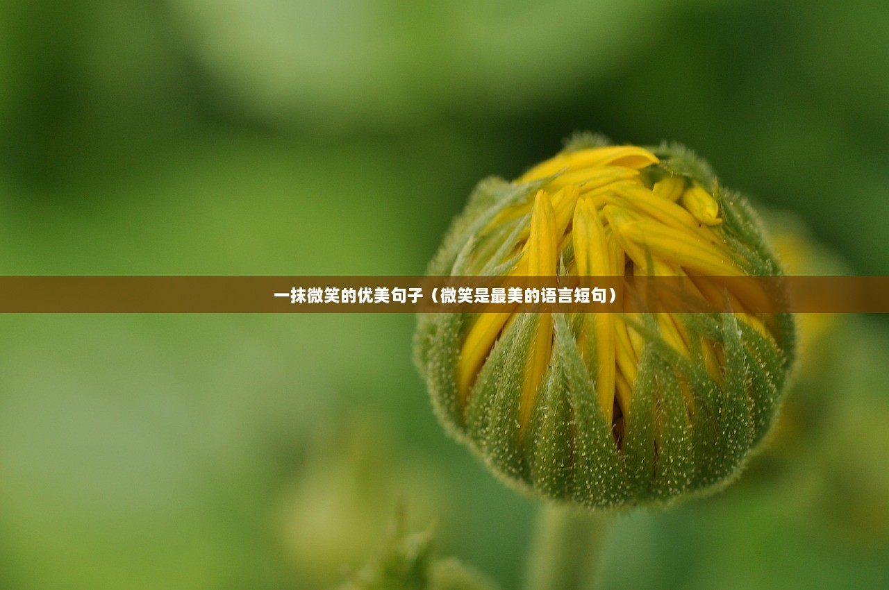 一抹微笑的优美句子（微笑是最美的语言短句）  第1张