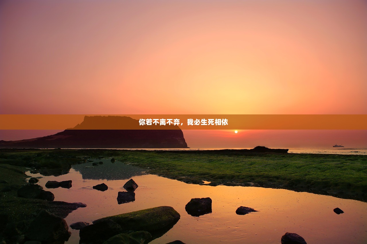 你若不离不弃，我必生死相依  第1张