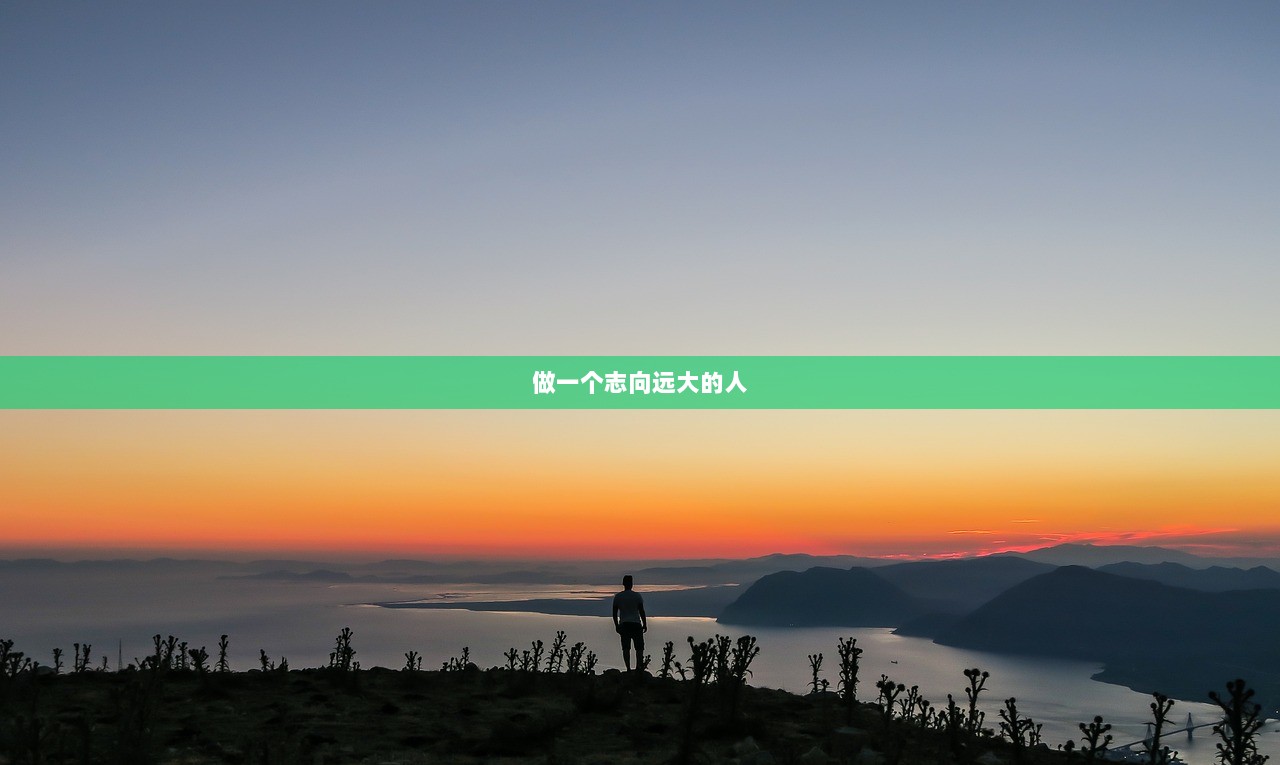 做一个志向远大的人