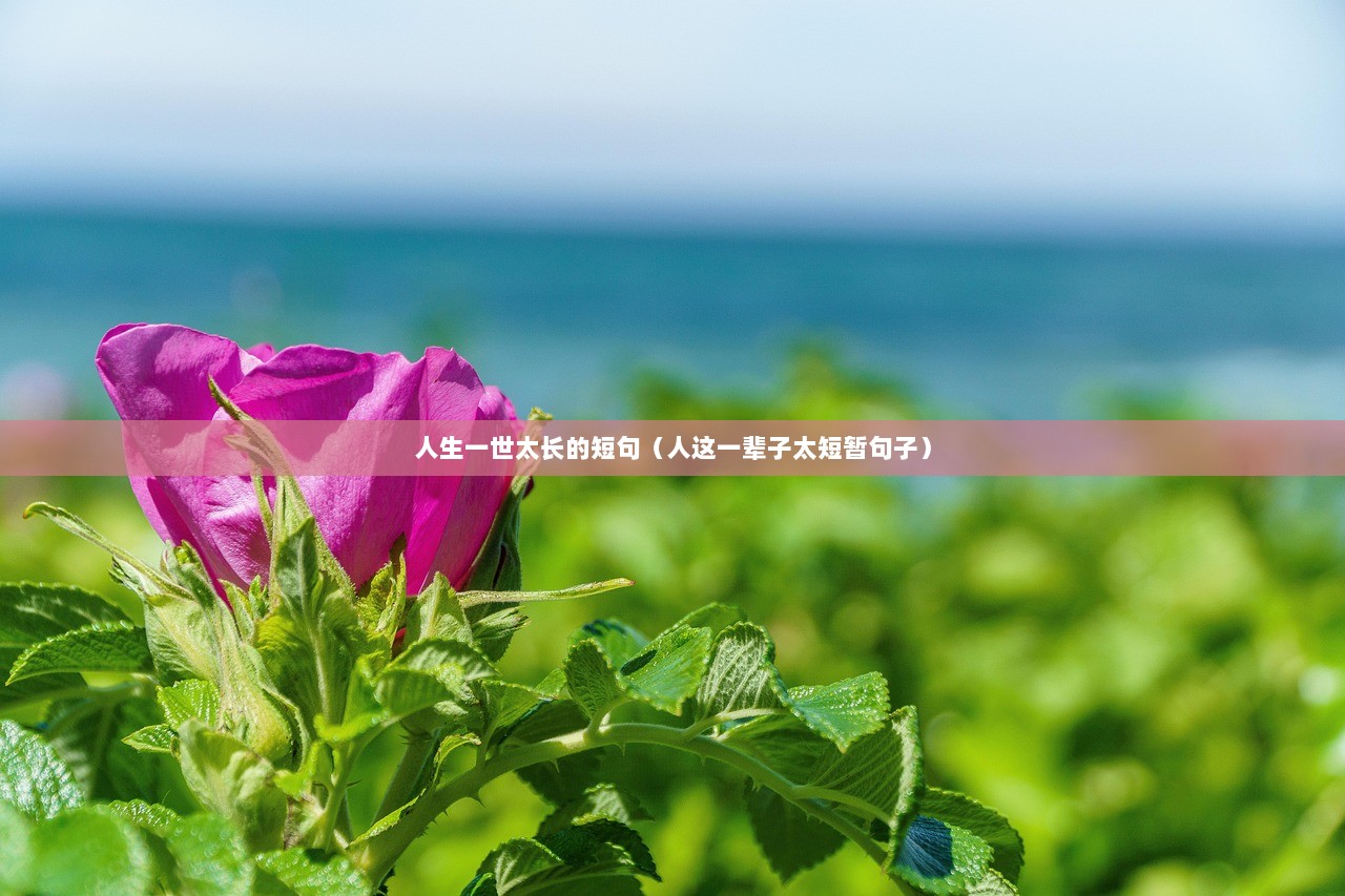 人生一世太长的短句（人这一辈子太短暂句子）