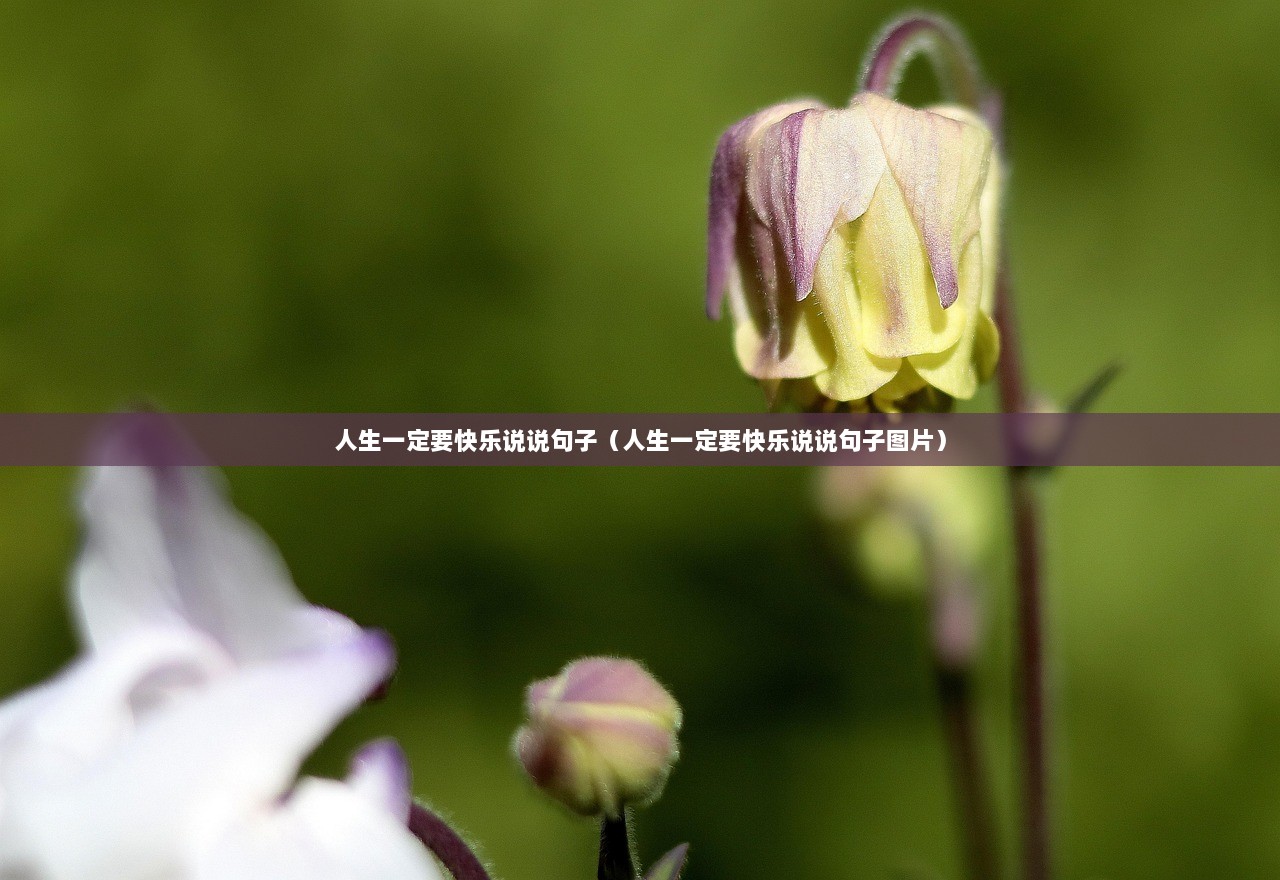 人生一定要快乐说说句子（人生一定要快乐说说句子图片）