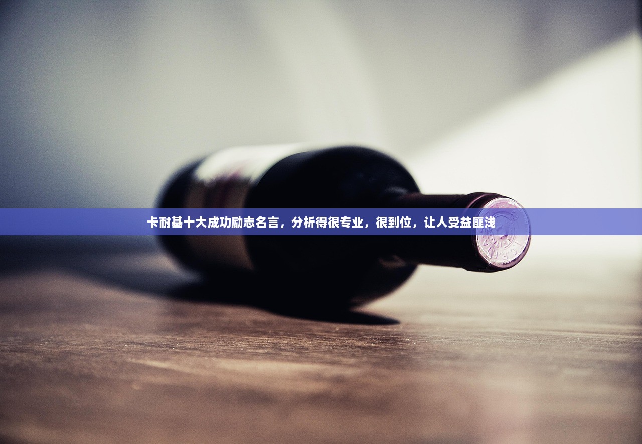 卡耐基十大成功励志名言，分析得很专业，很到位，让人受益匪浅