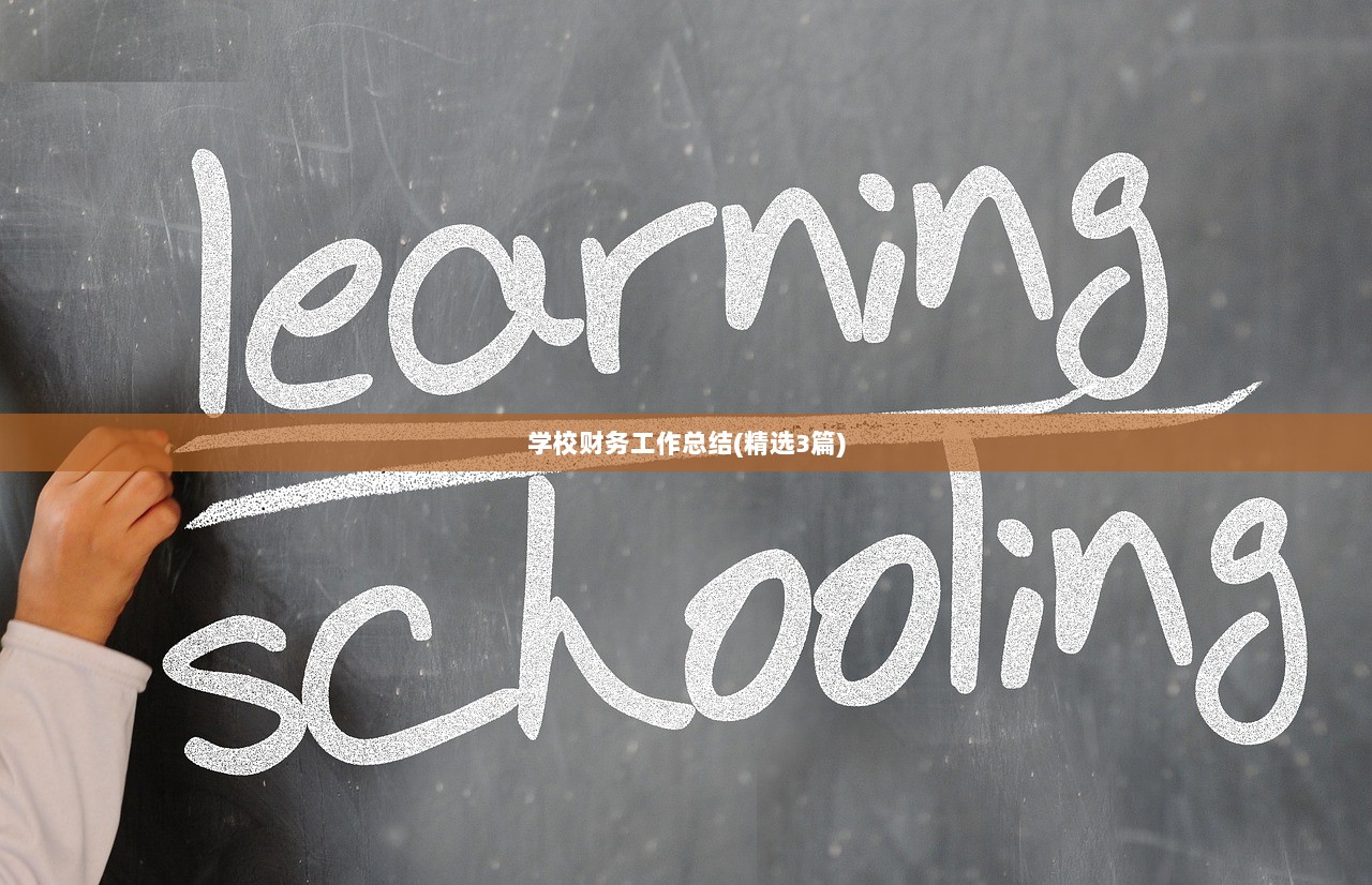 学校财务工作总结(精选3篇)