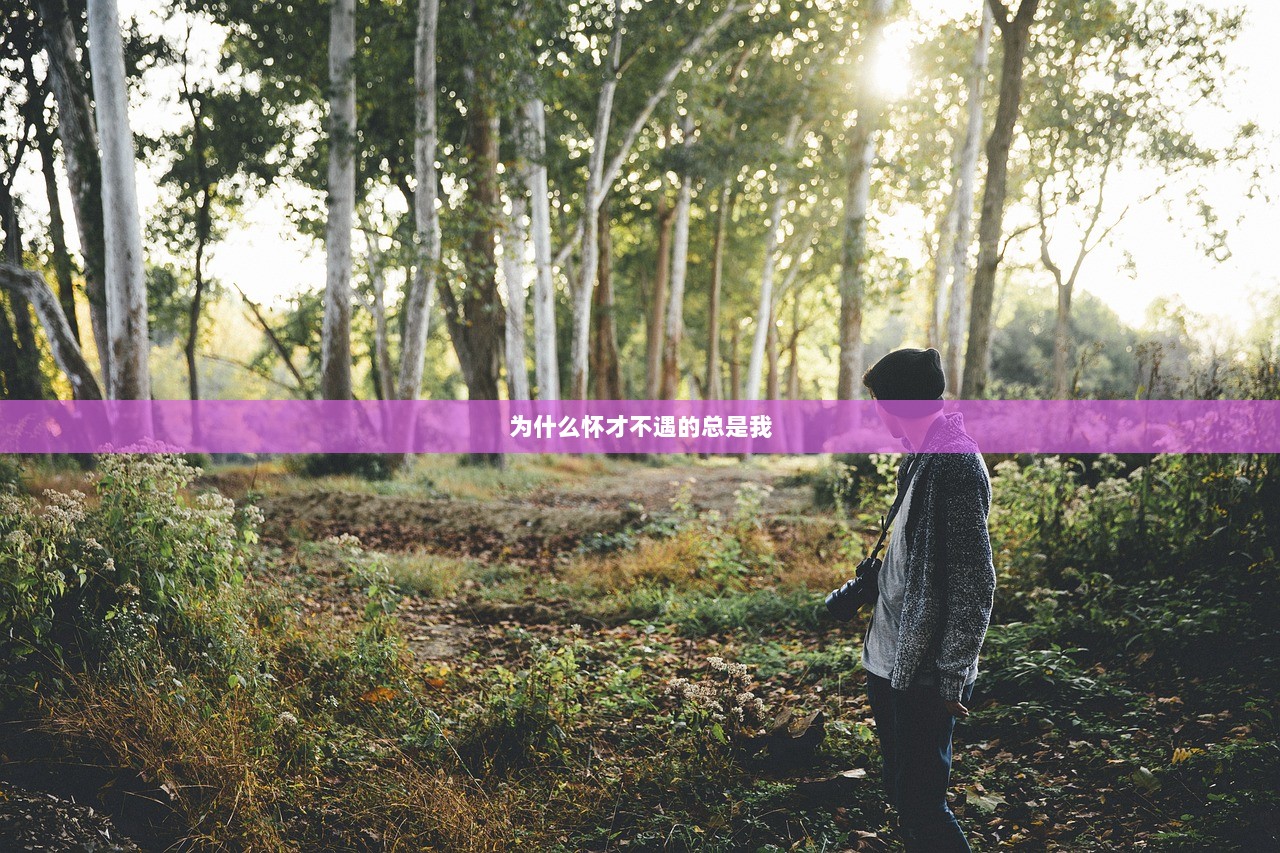 为什么怀才不遇的总是我  第1张