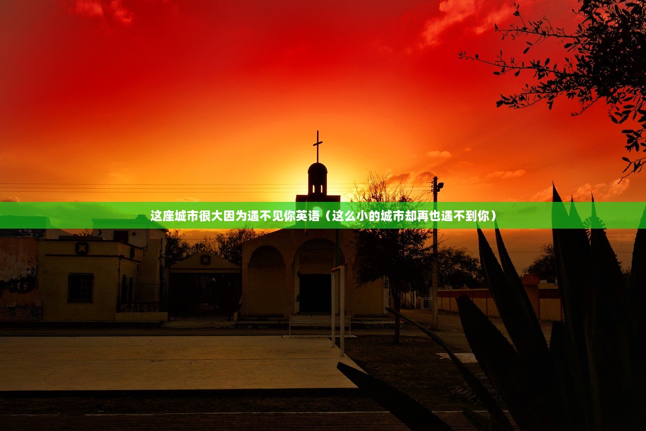 这座城市很大因为遇不见你英语（这么小的城市却再也遇不到你）
