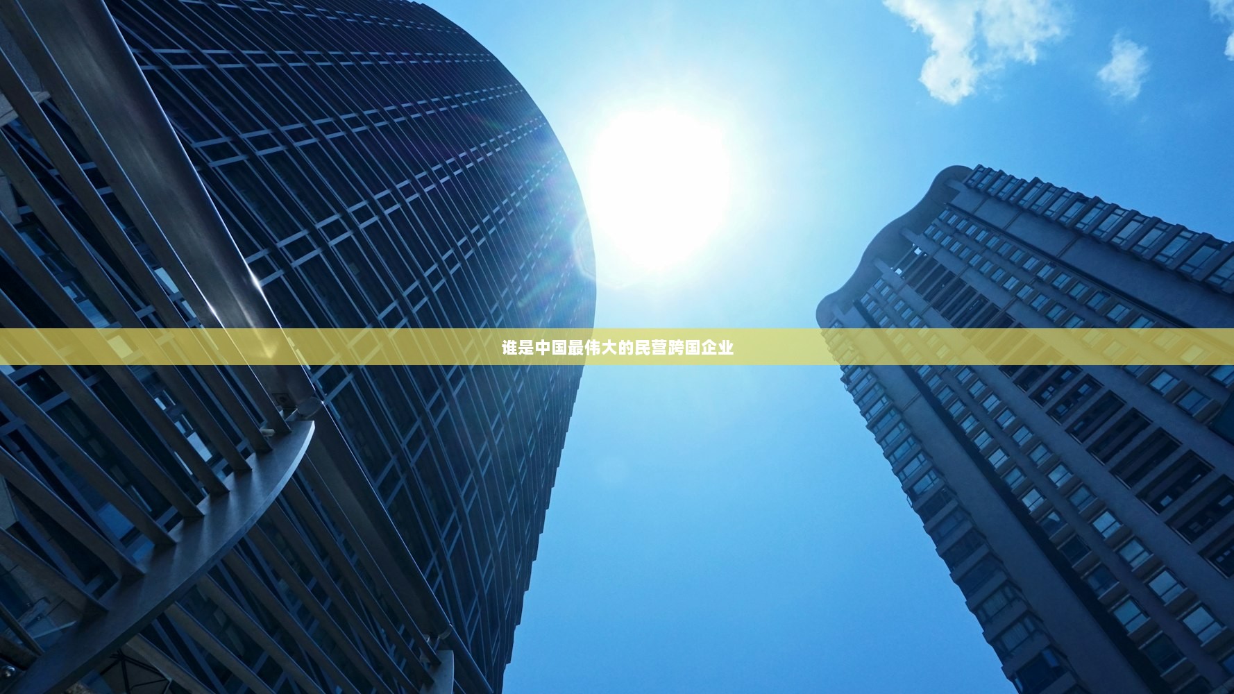 谁是中国最伟大的民营跨国企业