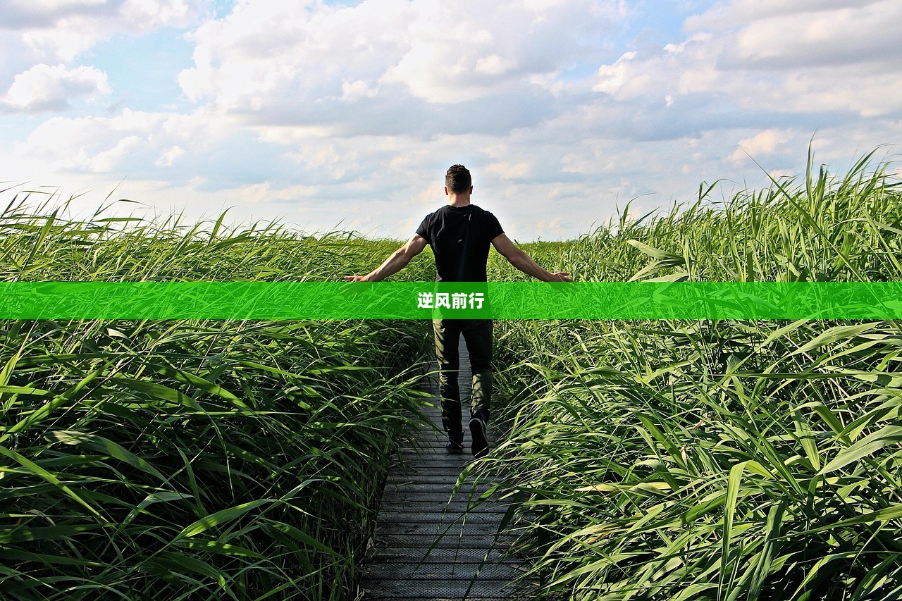 逆风前行
