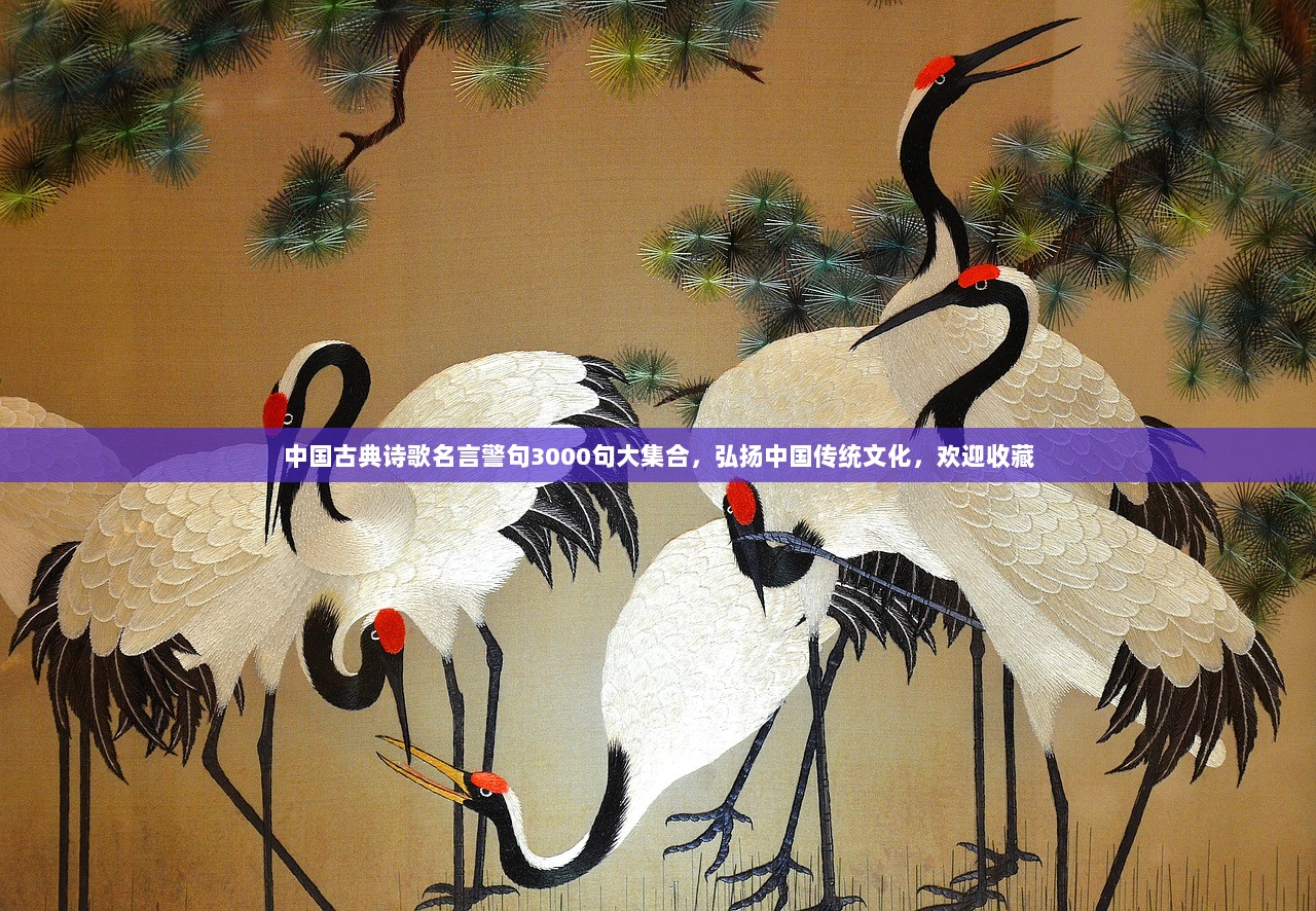 中国古典诗歌名言警句3000句大集合，弘扬中国传统文化，欢迎收藏