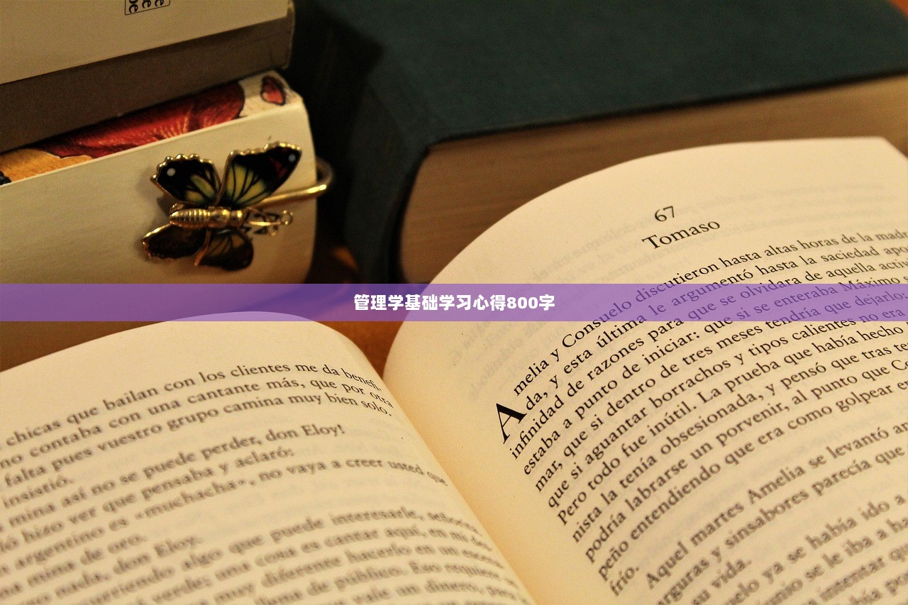 管理学基础学习心得800字