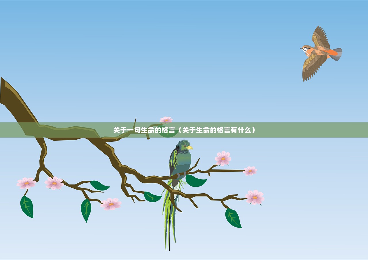 关于一句生命的格言（关于生命的格言有什么）