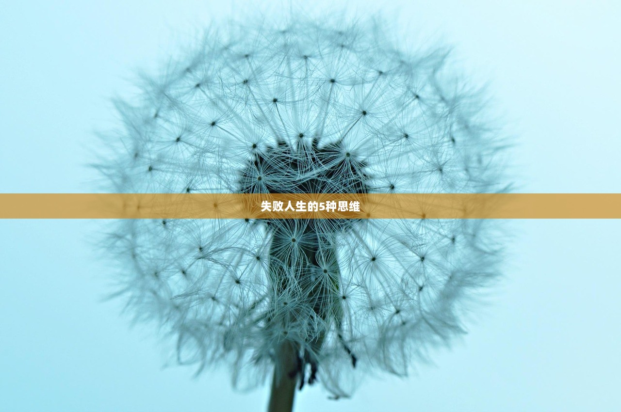 失败人生的5种思维