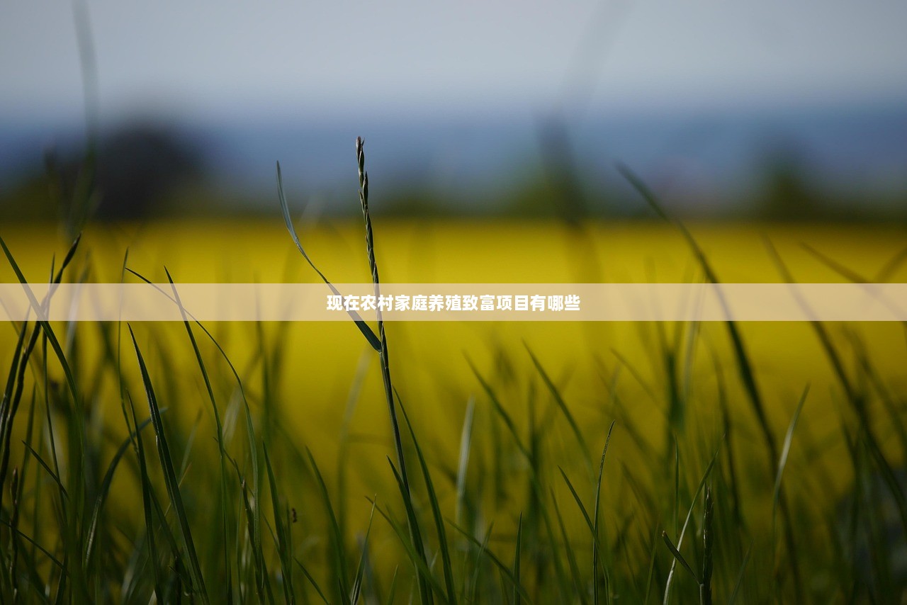 现在农村家庭养殖致富项目有哪些