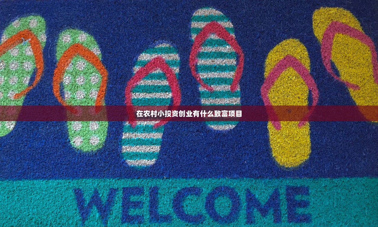 在农村小投资创业有什么致富项目