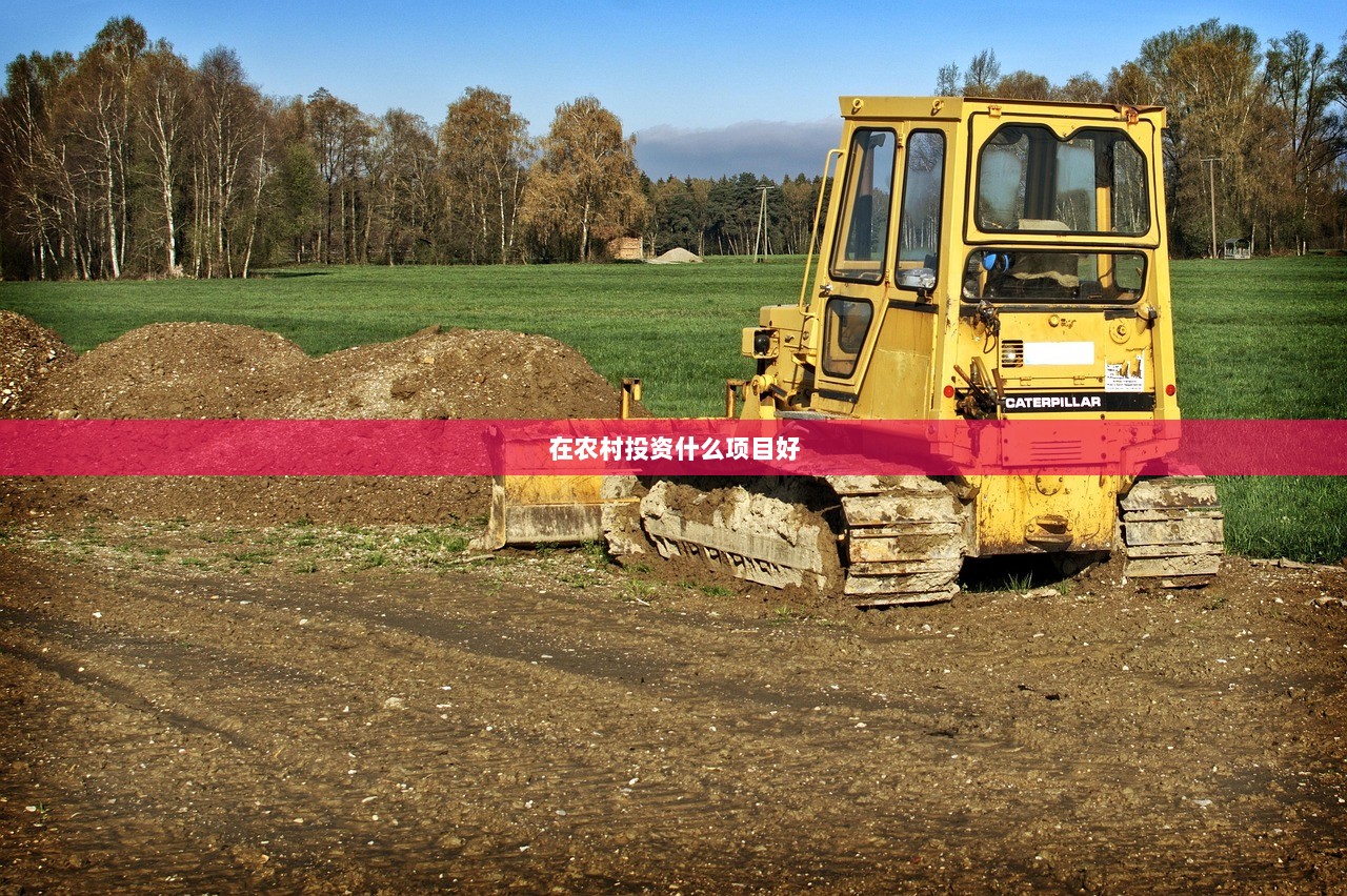 在农村投资什么项目好