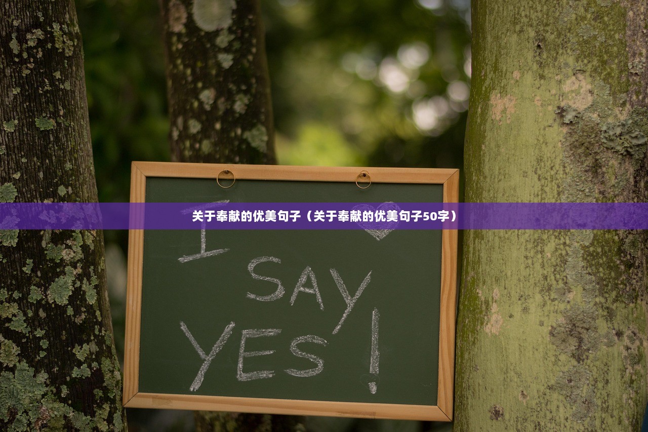 关于奉献的优美句子（关于奉献的优美句子50字）