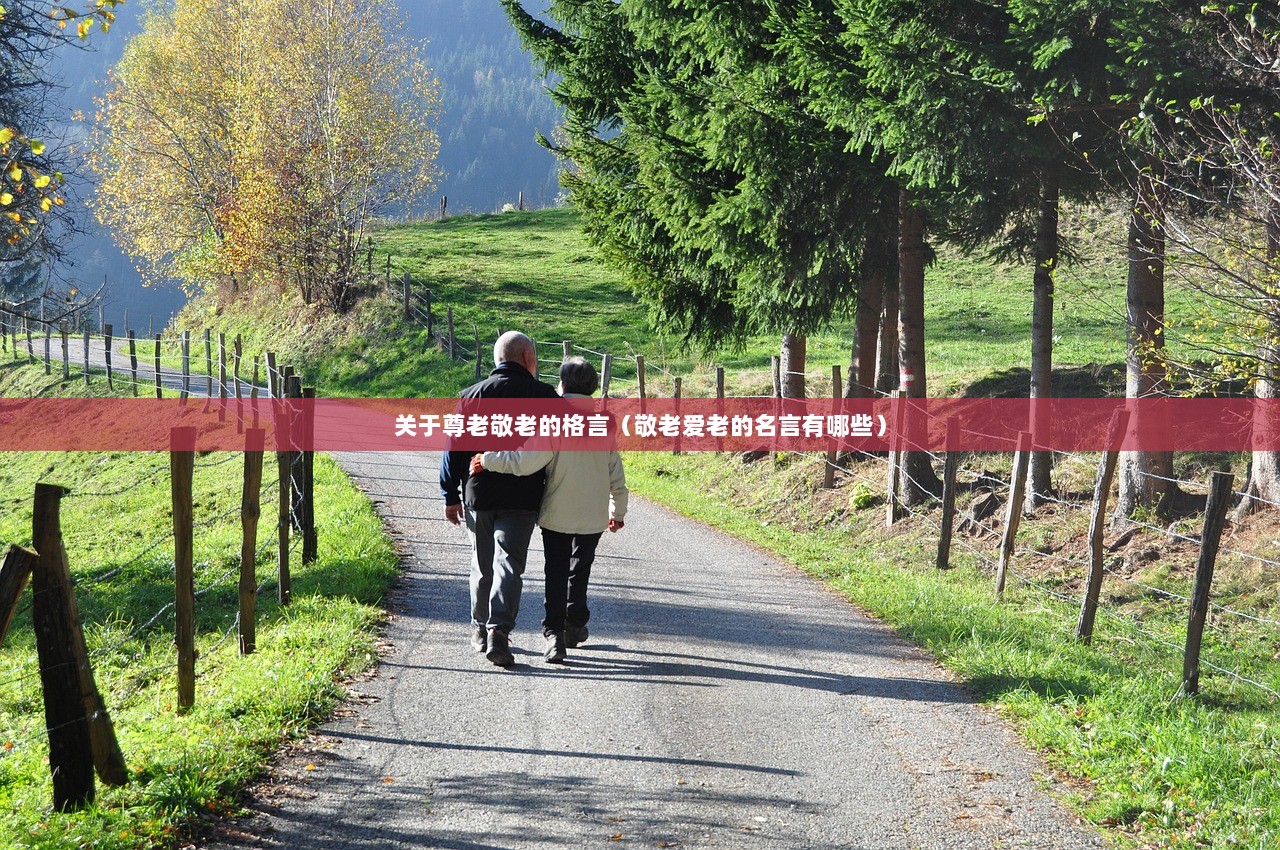 关于尊老敬老的格言（敬老爱老的名言有哪些）