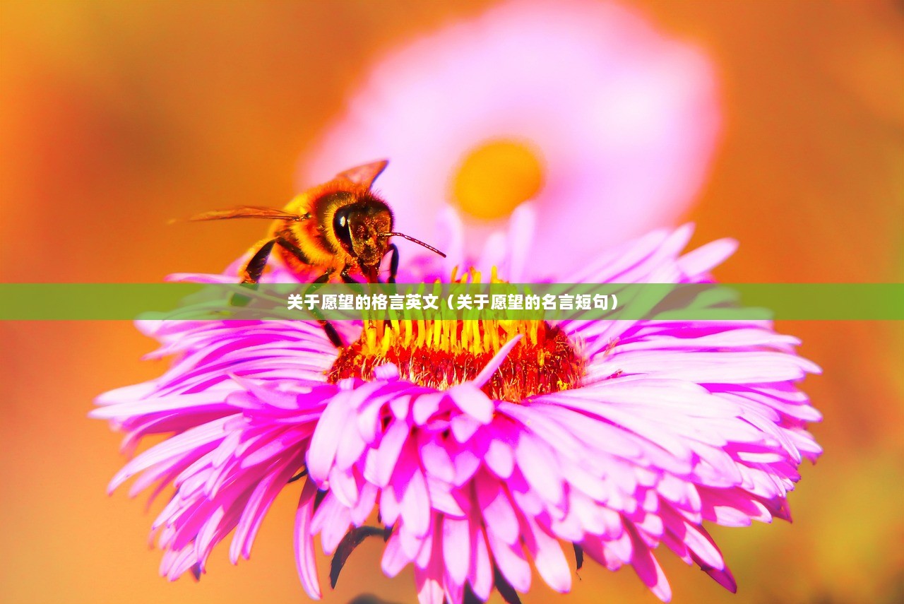 关于愿望的格言英文（关于愿望的名言短句）
