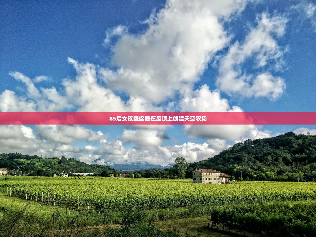 85后女孩魏梁巍在屋顶上创建天空农场