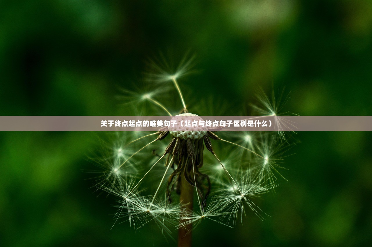 关于终点起点的唯美句子（起点与终点句子区别是什么）  第1张