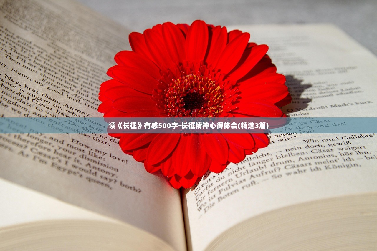 读《长征》有感500字-长征精神心得体会(精选3篇)