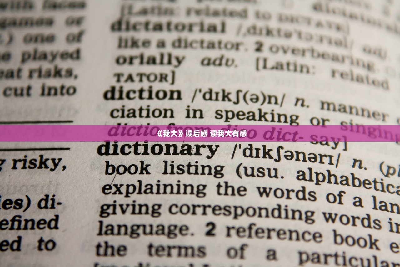 《我大》读后感 读我大有感