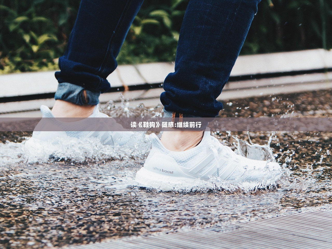 读《鞋狗》随感:继续前行