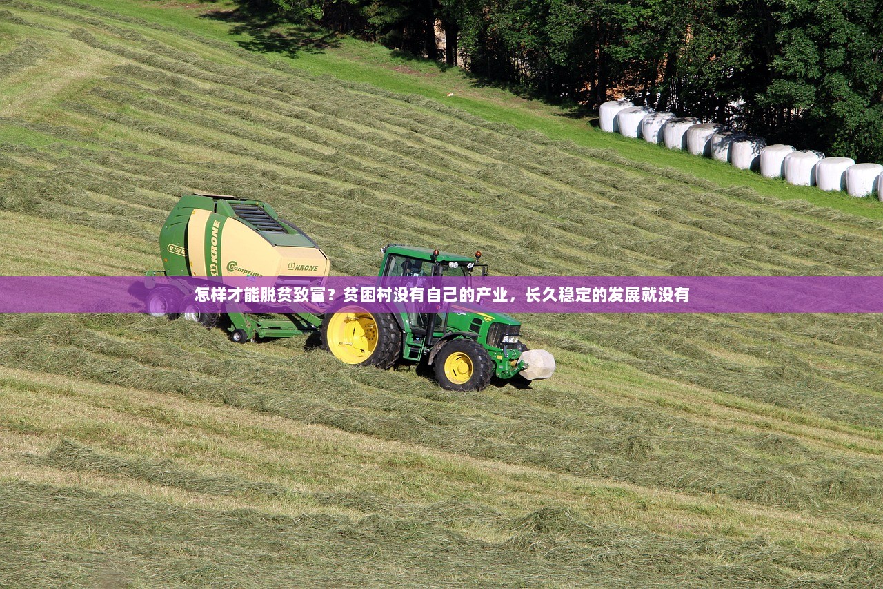 怎样才能脱贫致富？贫困村没有自己的产业，长久稳定的发展就没有