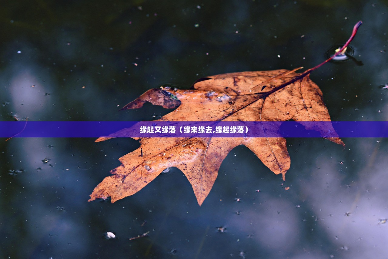 缘起又缘落（缘来缘去,缘起缘落）