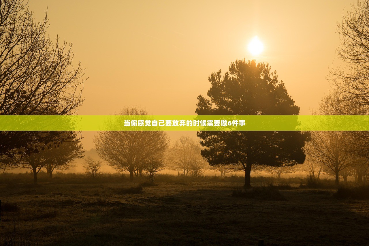 当你感觉自己要放弃的时候需要做6件事
