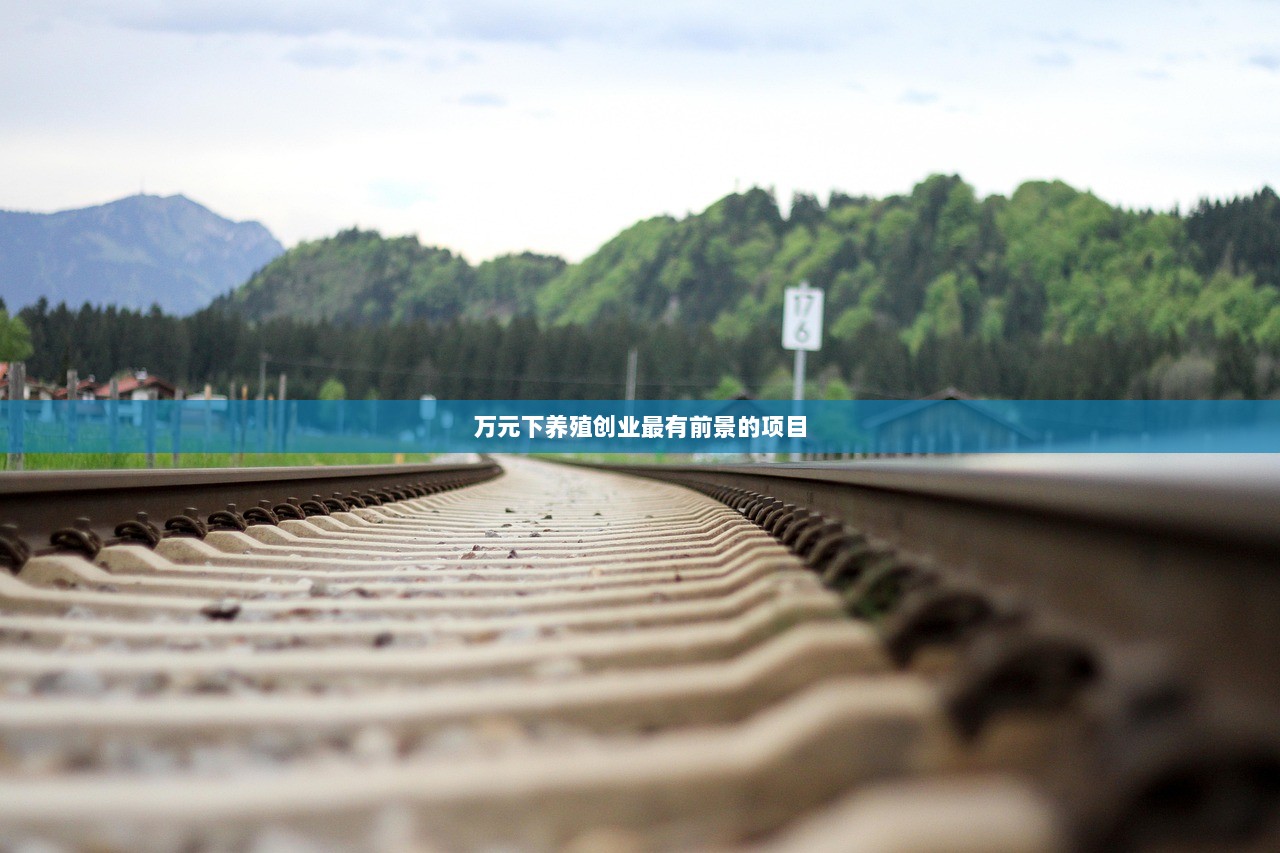 万元下养殖创业最有前景的项目