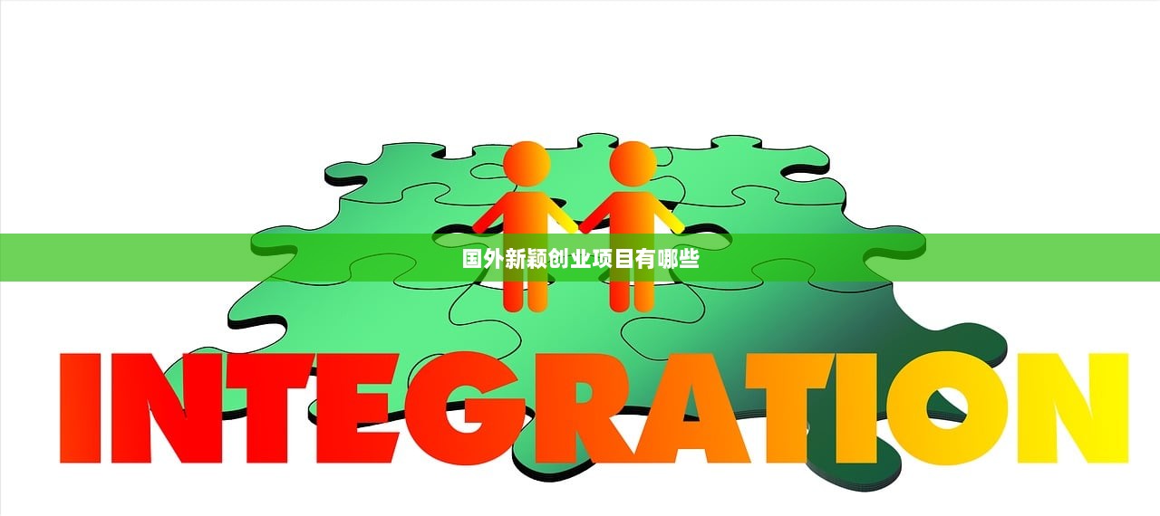 国外新颖创业项目有哪些 第1张 国外新颖创业项目有哪些 第1张