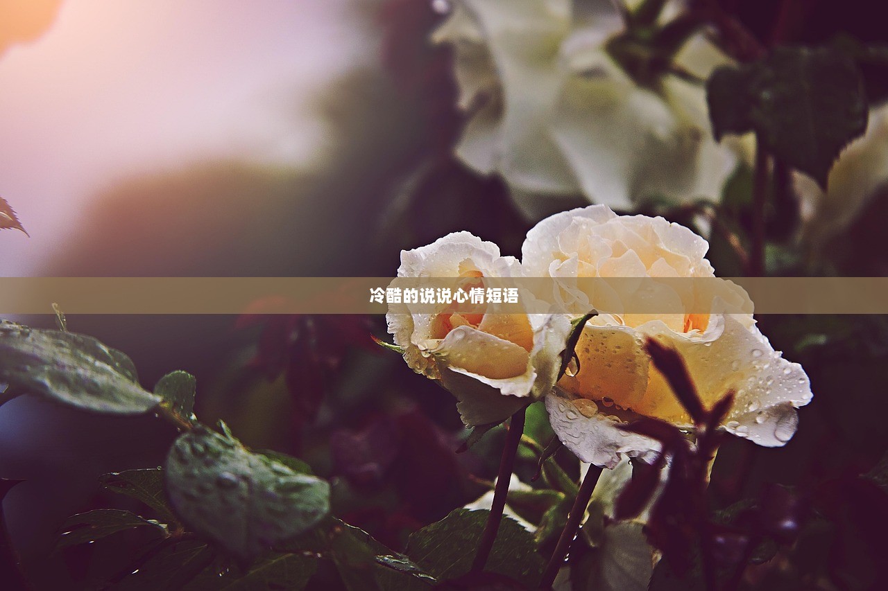 冷酷的说说心情短语