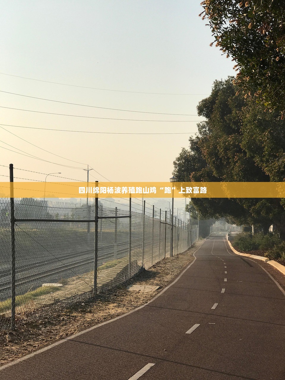 四川绵阳杨波养殖跑山鸡“跑”上致富路