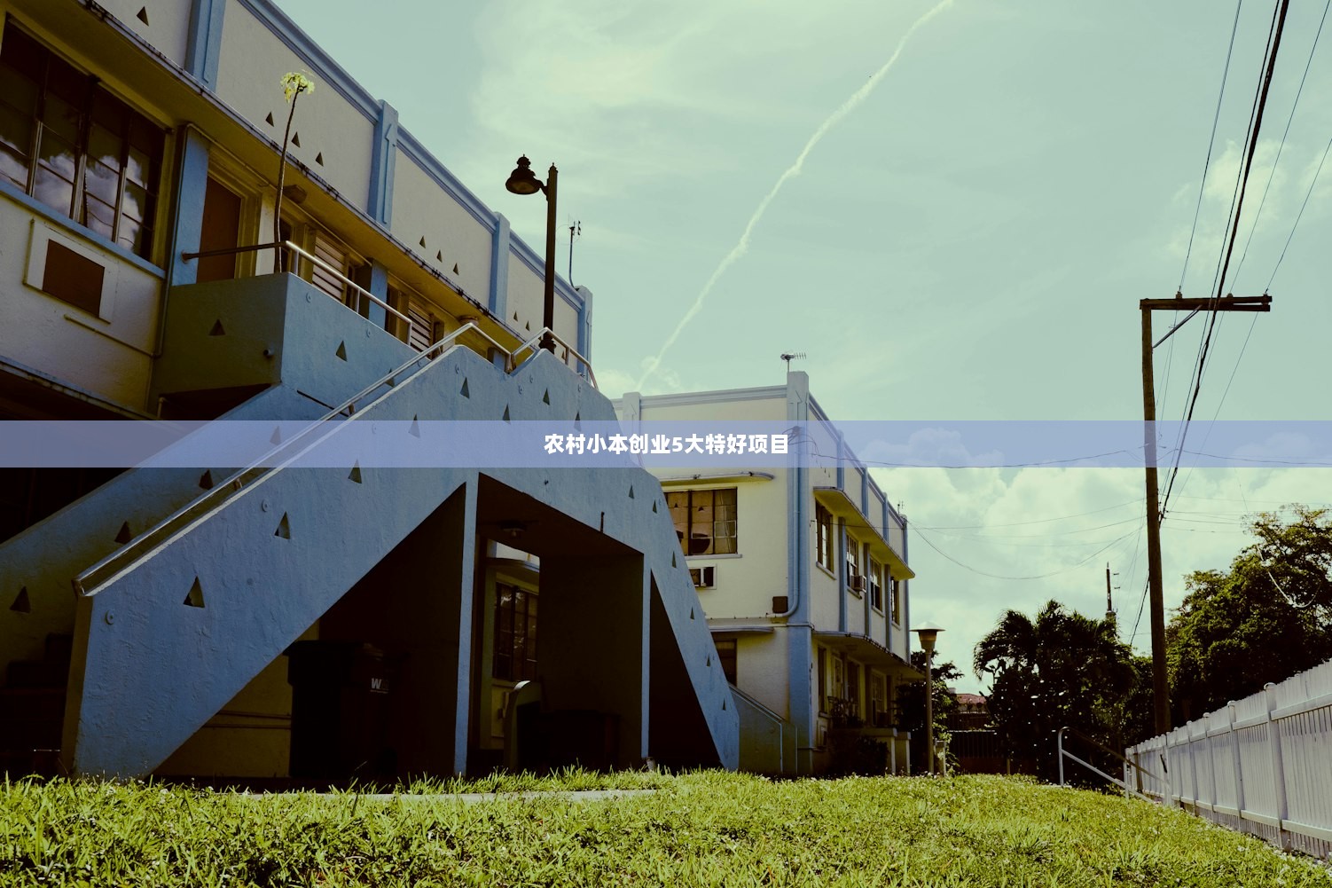 农村小本创业5大特好项目  第1张
