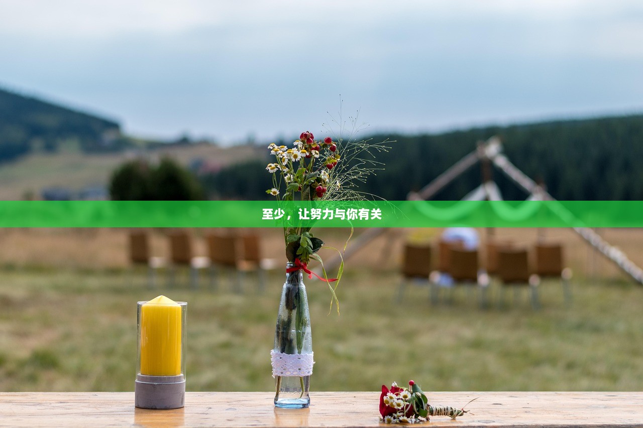 至少，让努力与你有关  第1张